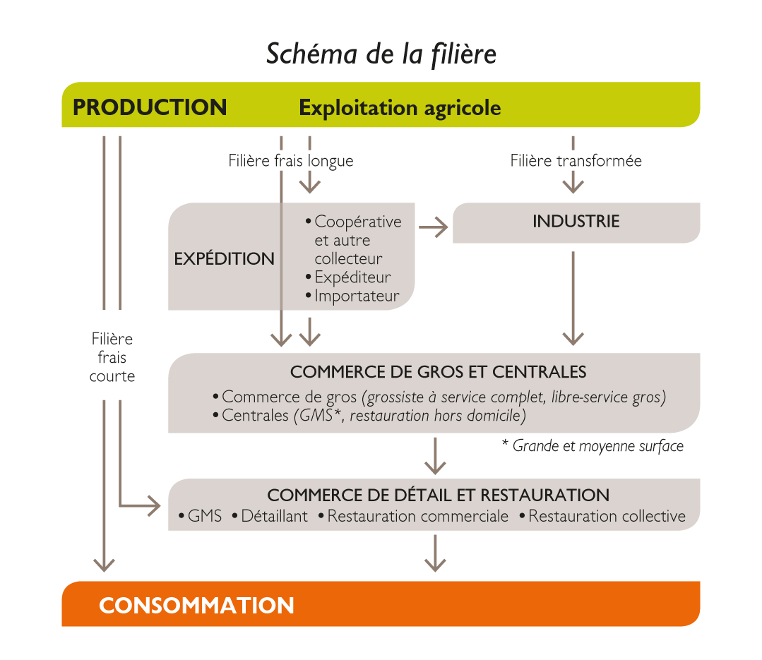 De La Production à La Consommation D un Bien Agricole Schéma LPC Bio | Légumes Plein Champ Bio | Développement de filière